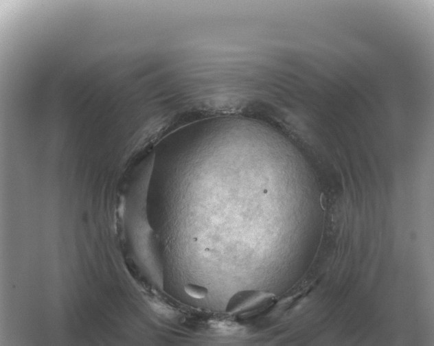 X0000067510693200604150134