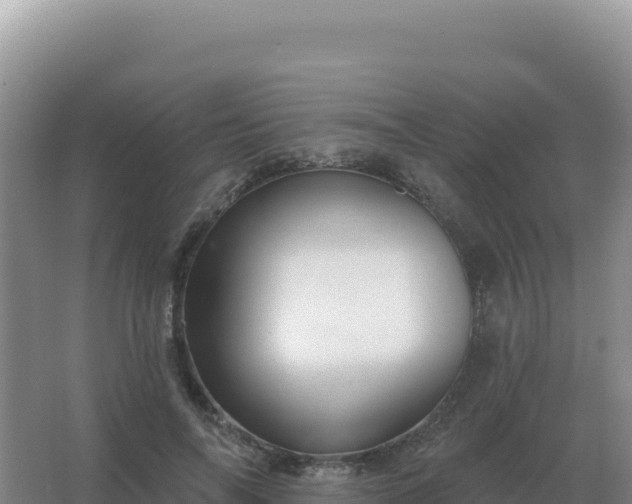 X0000067510694200604150134