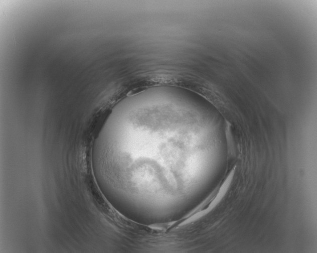 X0000067510696200604150134