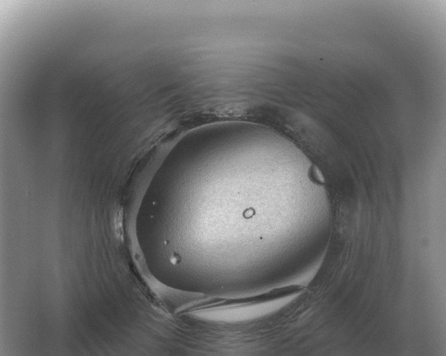 X0000067510697200604150134