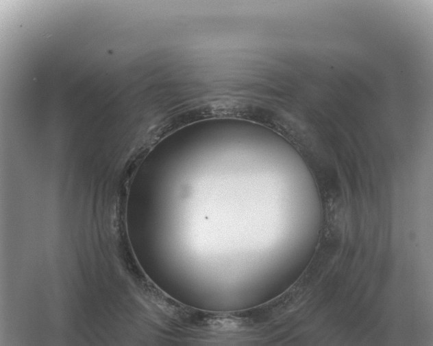 X0000067510698200604150134