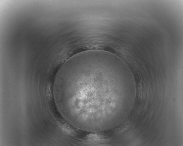 X0000067510699200604150134