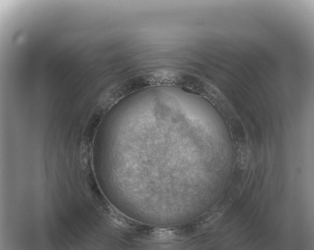 X0000067510701200604150133