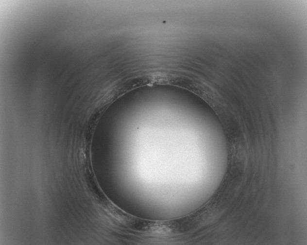 X0000067510702200604150133