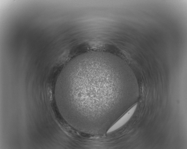 X0000067510703200604150133