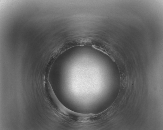 X0000067510704200604150133