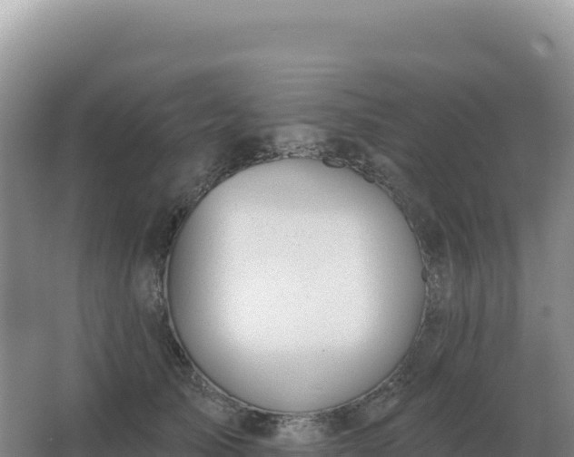 X0000067510705200604150133