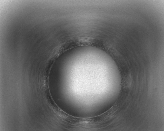 X0000067510706200604150133