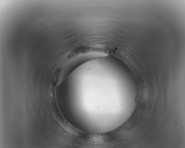 X0000067510710200604150133