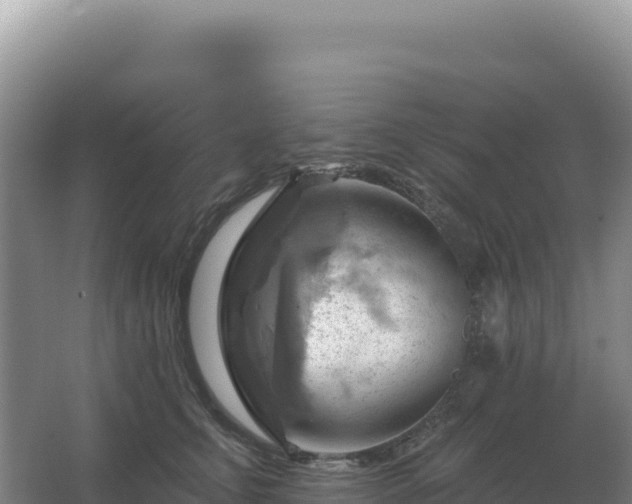 X0000067510711200604150133