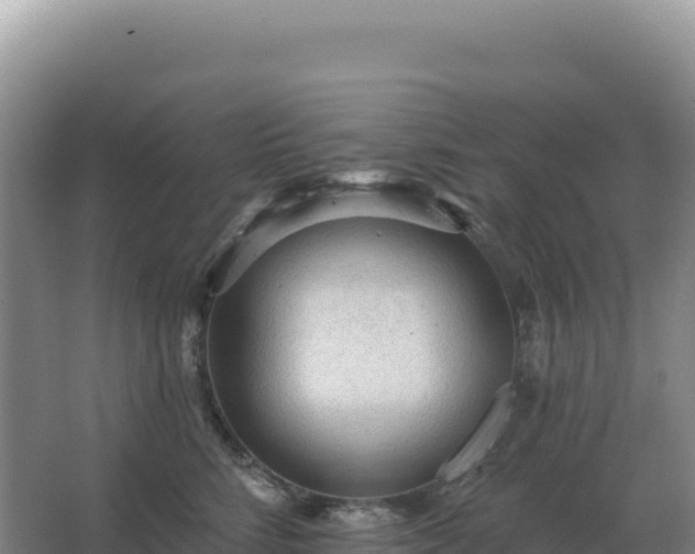 X0000067510712200604150133