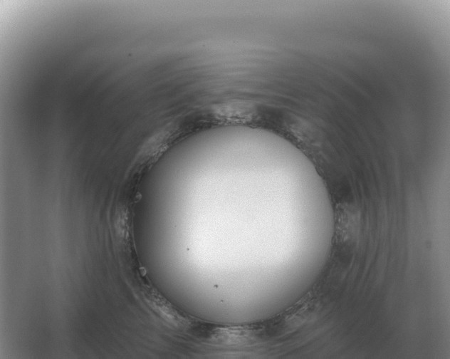 X0000067510713200604150133