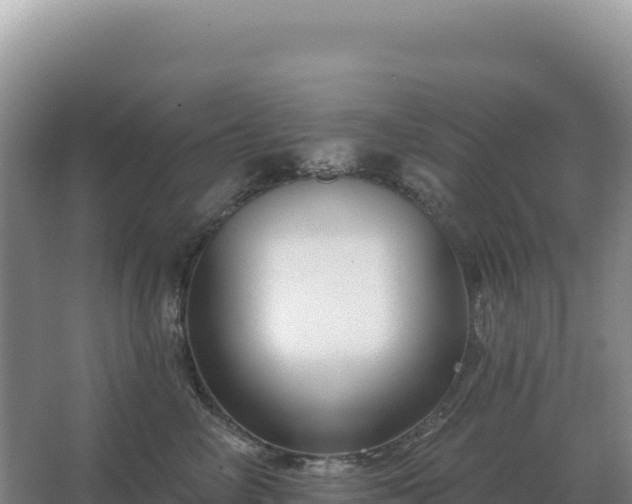 X0000067510714200604150133