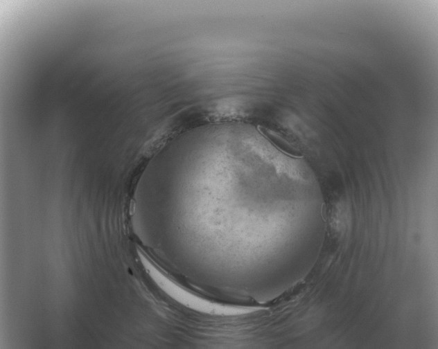 X0000067510715200604150133