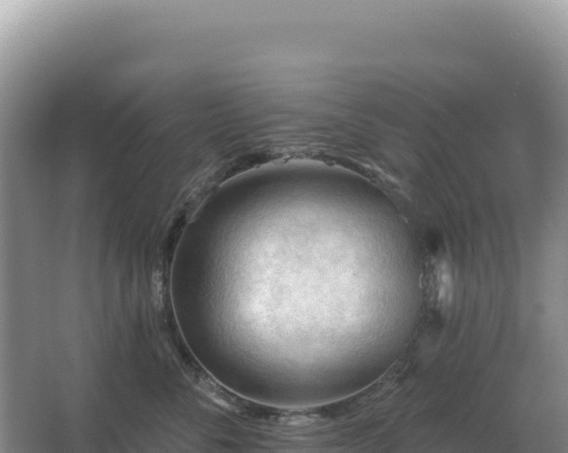 X0000067510716200604150133