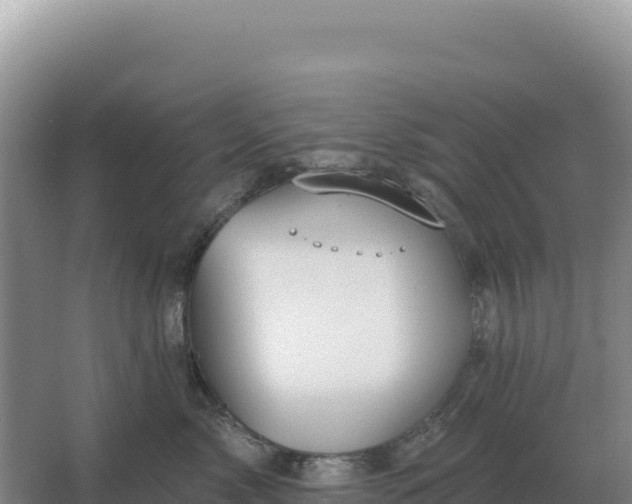 X0000067510717200604150133