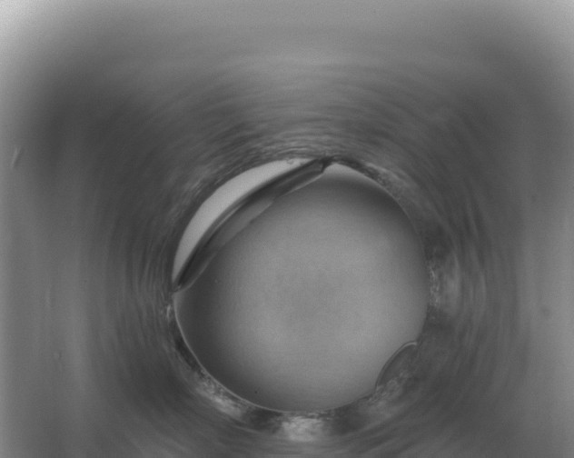 X0000067510718200604150133