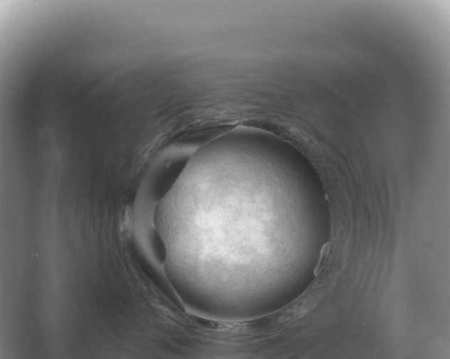 X0000067510720200604150133