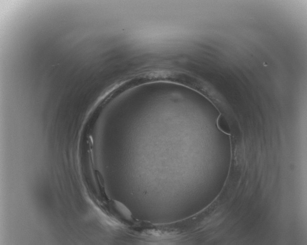 X0000067510722200604150132