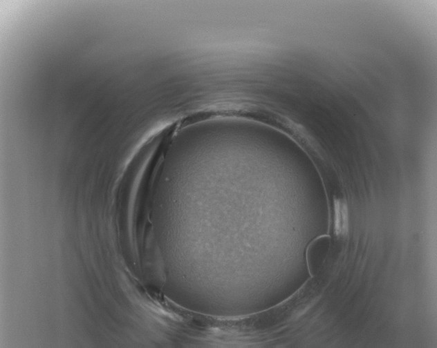 X0000067510723200604150132