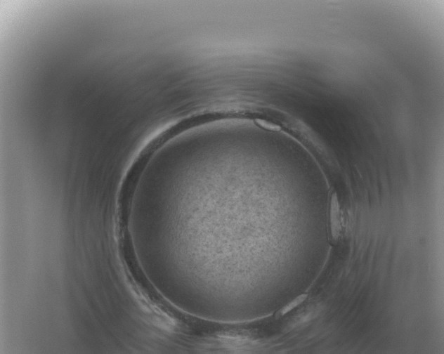 X0000067510724200604150132