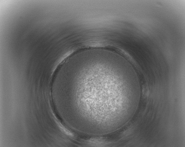 X0000067510725200604150132