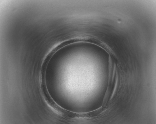 X0000067510726200604150132