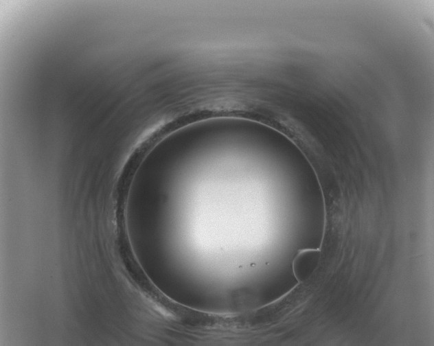 X0000067510727200604150132