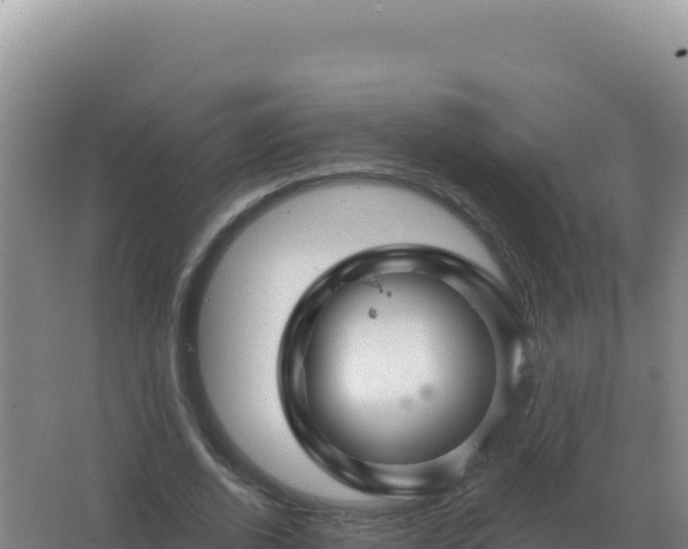 X0000067510728200604150132