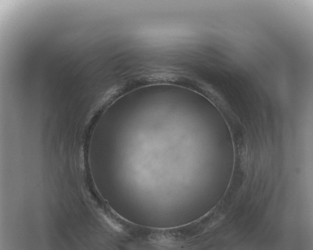 X0000067510729200604150132