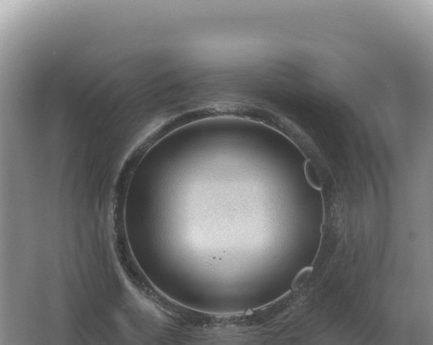 X0000067510730200604150133