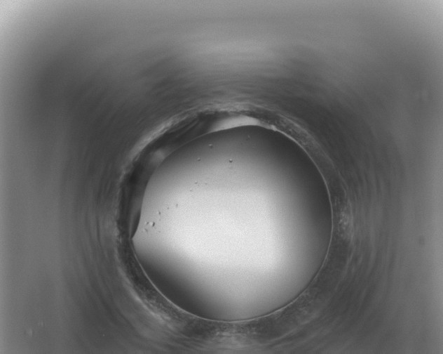 X0000067510732200604150133