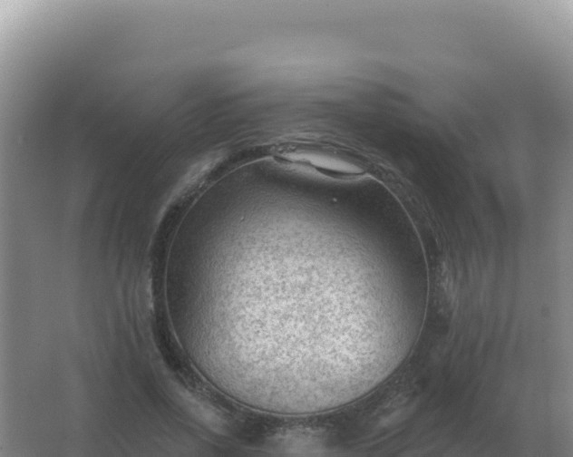 X0000067510734200604150133