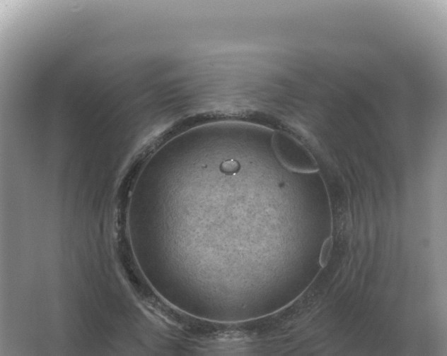 X0000067510736200604150133