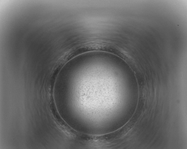 X0000067510737200604150133