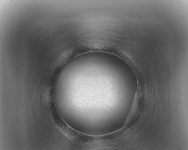 X0000067510738200604150133