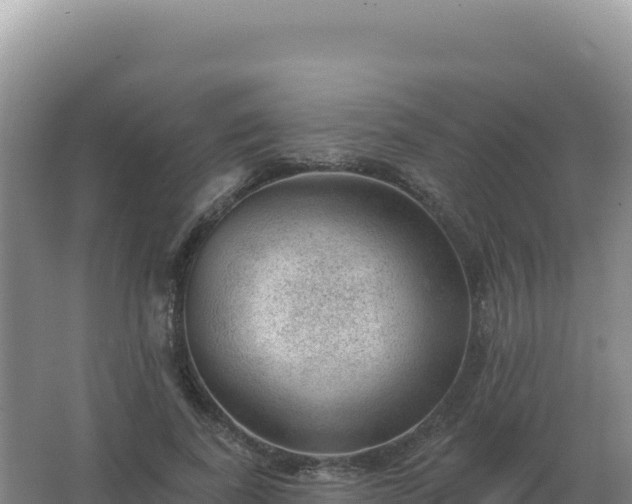 X0000067510739200604150133