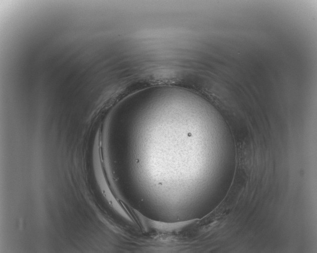 X0000067510742200604150133