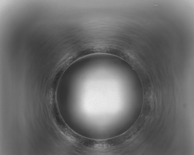 X0000067510744200604150133