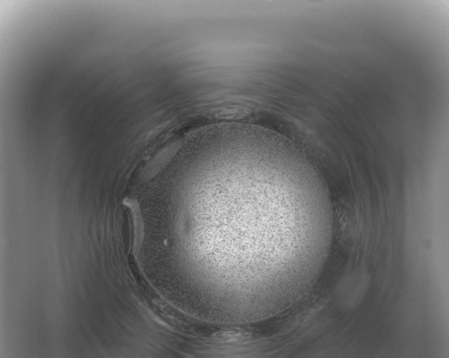 X0000067510745200604150133