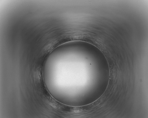 X0000067510746200604150133