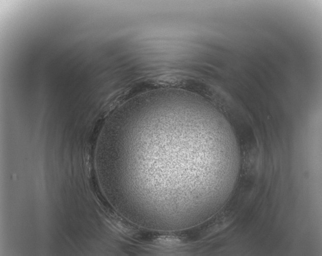 X0000067510749200604150133