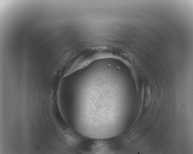 X0000067510750200604150133