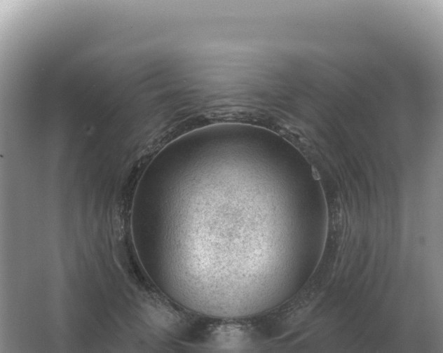 X0000067510751200604150133