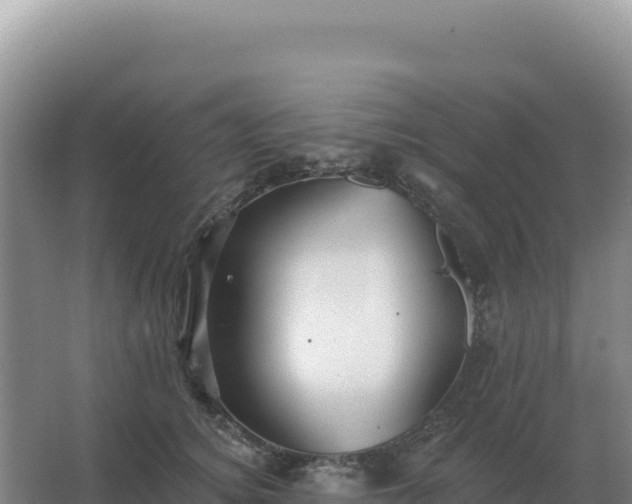 X0000067510756200604150133