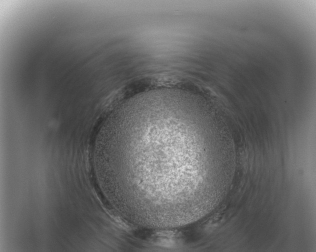 X0000067510757200604150133