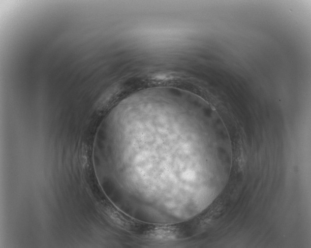 X0000067510758200604150133