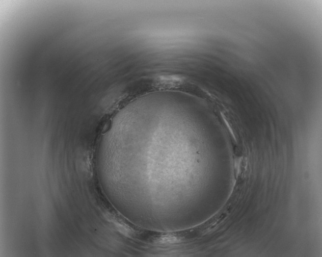 X0000067510759200604150133