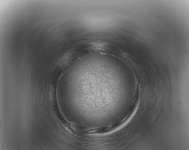 X0000067510760200604150133