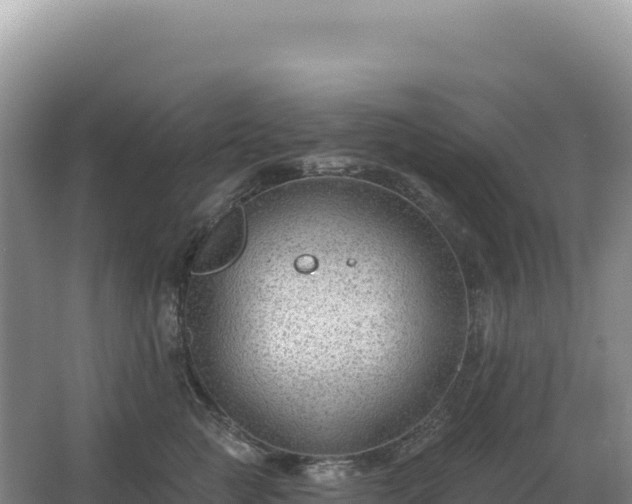 X0000067510761200604150133